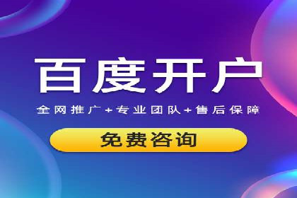 SEM代运营服务公司案例分析：数据驱动营销策略
